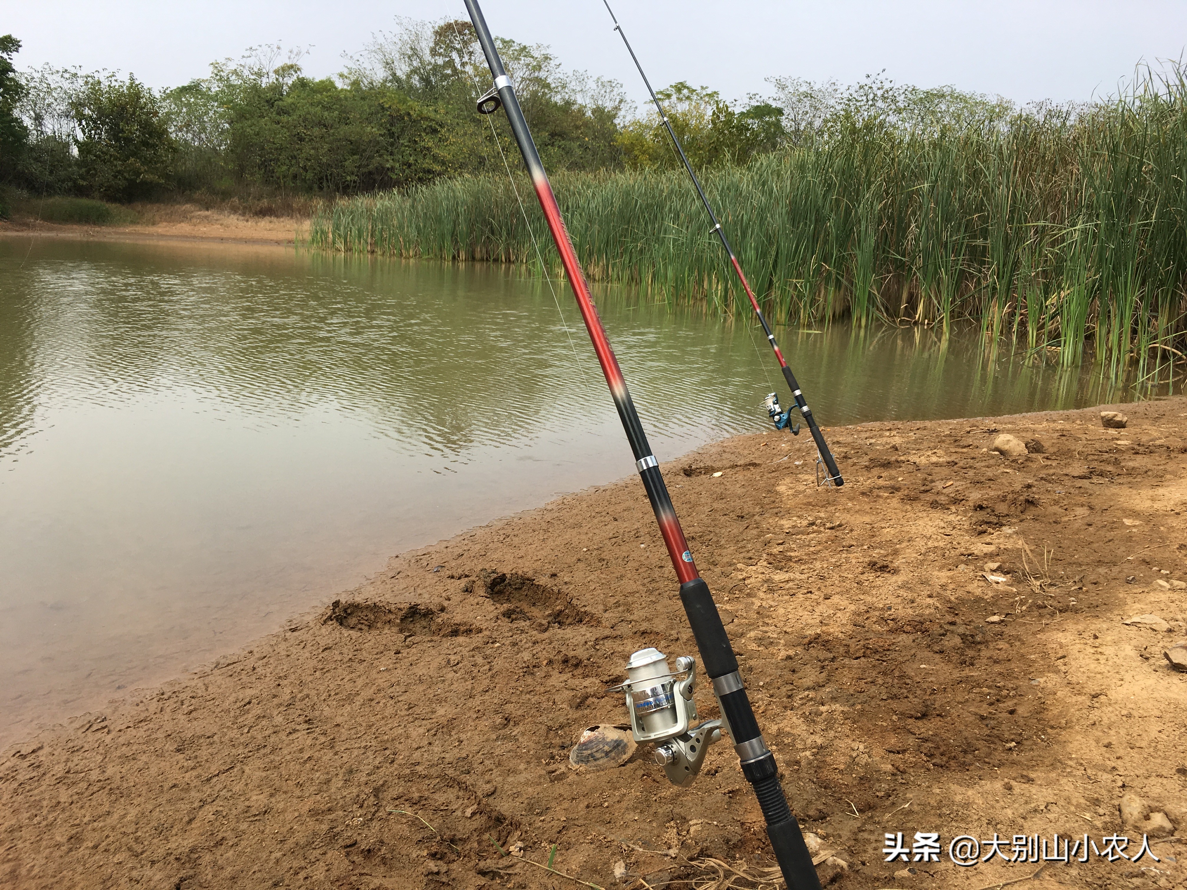 冬季海竿串钩钓鲫鱼绝招,秋冬季节海竿串钩钓大板鲫