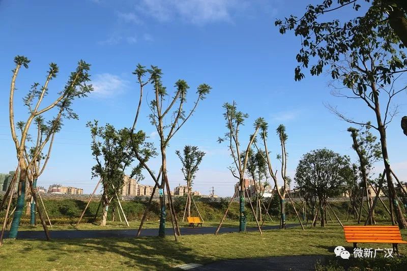 「ONE话题」82亩!北区最大(目前)运动公园将于今年12月底和大家见面