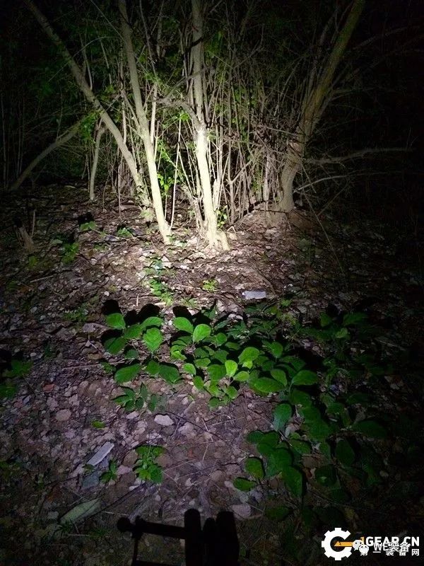 一举未必三得——务本TP10战术笔入手体验