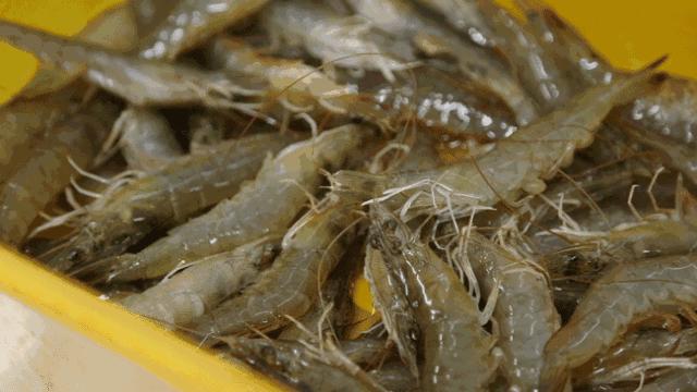 海鲜清洗大全每个都实用到爆,海鲜美食清洗法大全