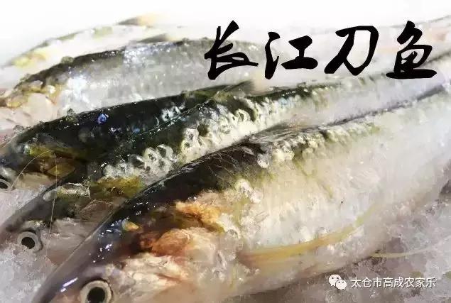 太仓浏河镇农家乐,苏州太仓高成农家乐