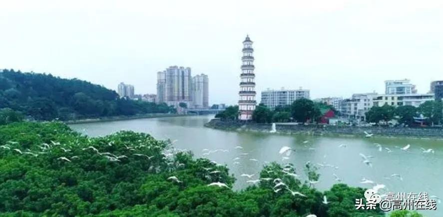 高州城市最新规划图,高州市行政地图最新版