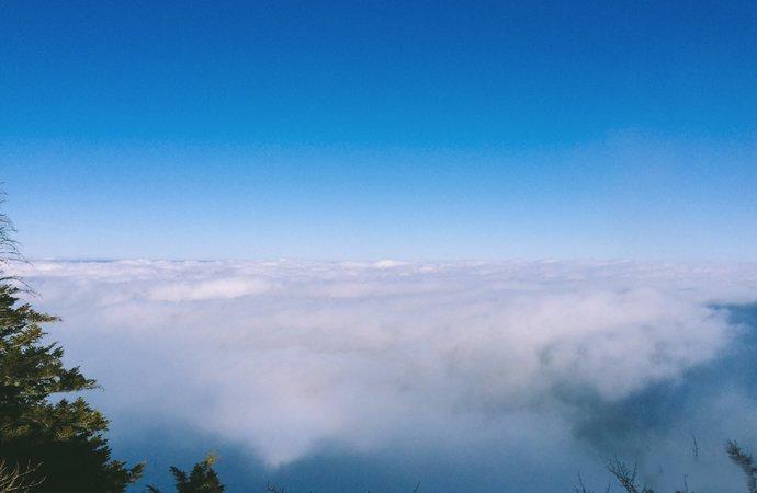 去富士山看樱花,日本富士山浪漫