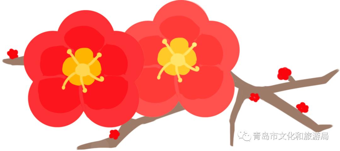 识花赏花学知识,赏花识花学知识