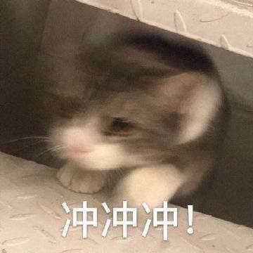 堪比985的学校叫什么,计算机实力比较强的几所学校