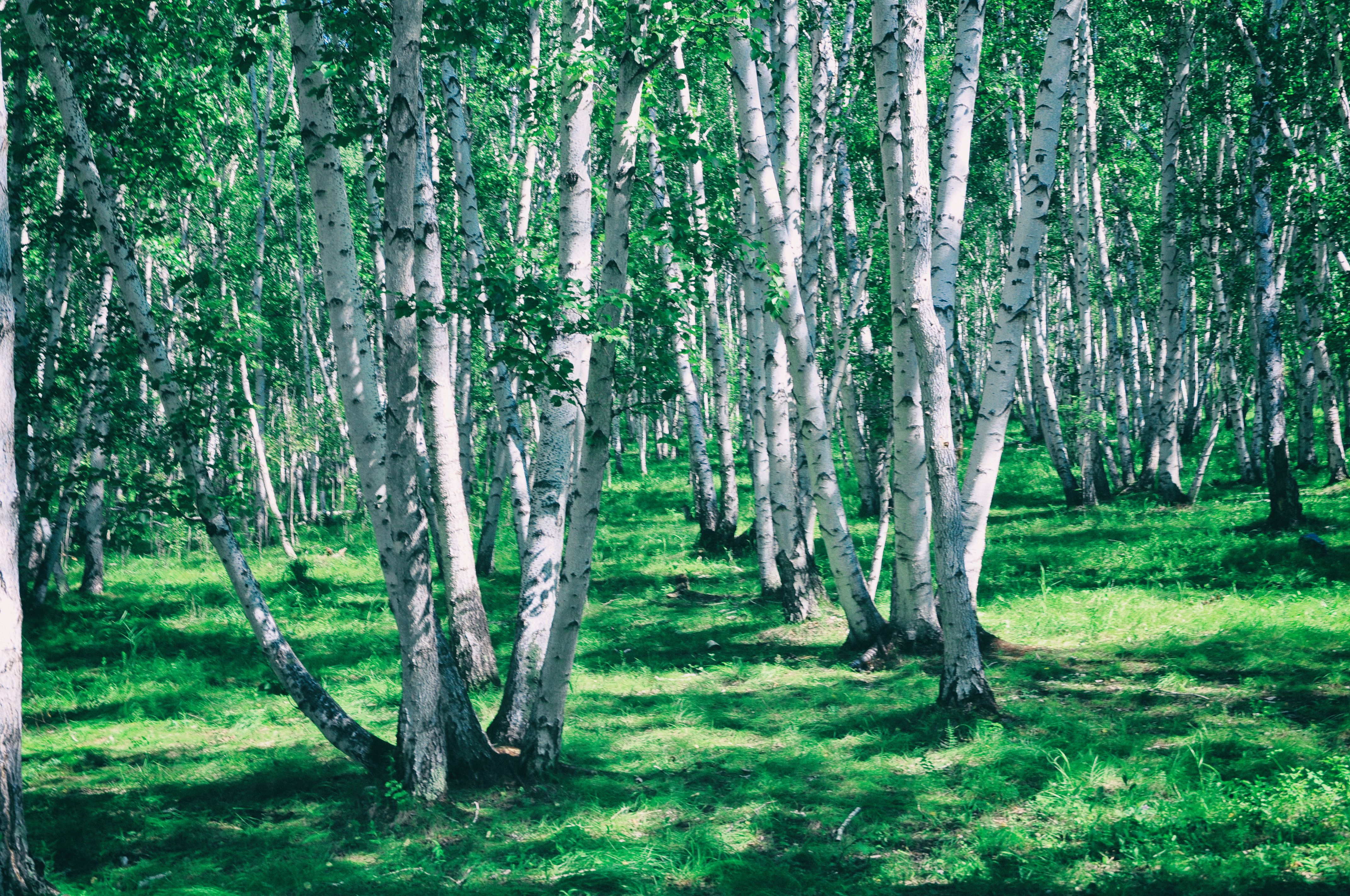 一次特别的东北旅行,历时18天的东北边境行