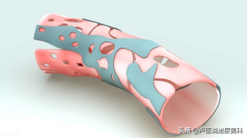 男性补充叶酸的作用与功效,男性补充叶酸有什么副作用