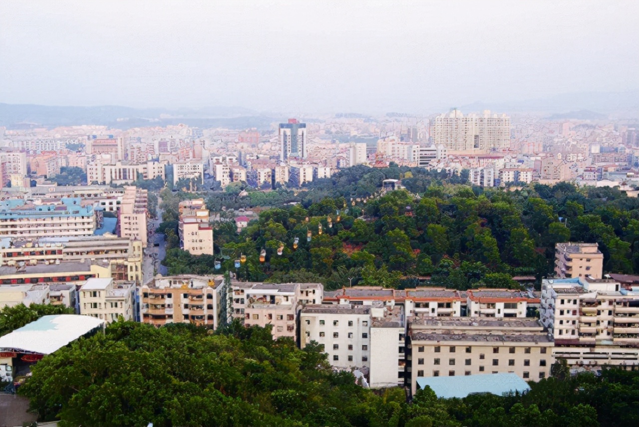 老汉贪卖冬瓜引发香港凶案,深圳老人捡冬瓜捡出大案