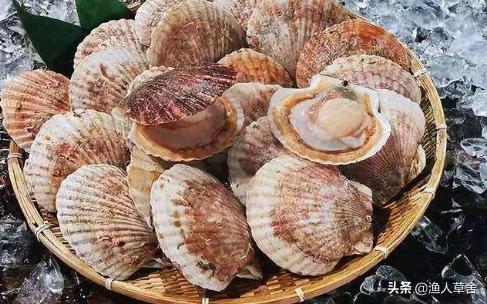 东方夏威夷国际旅游度假区,养马岛后海东方夏威夷