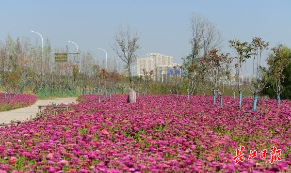 区块链来了,亚洲首发旗舰店也来了……8个项目落户长江新城