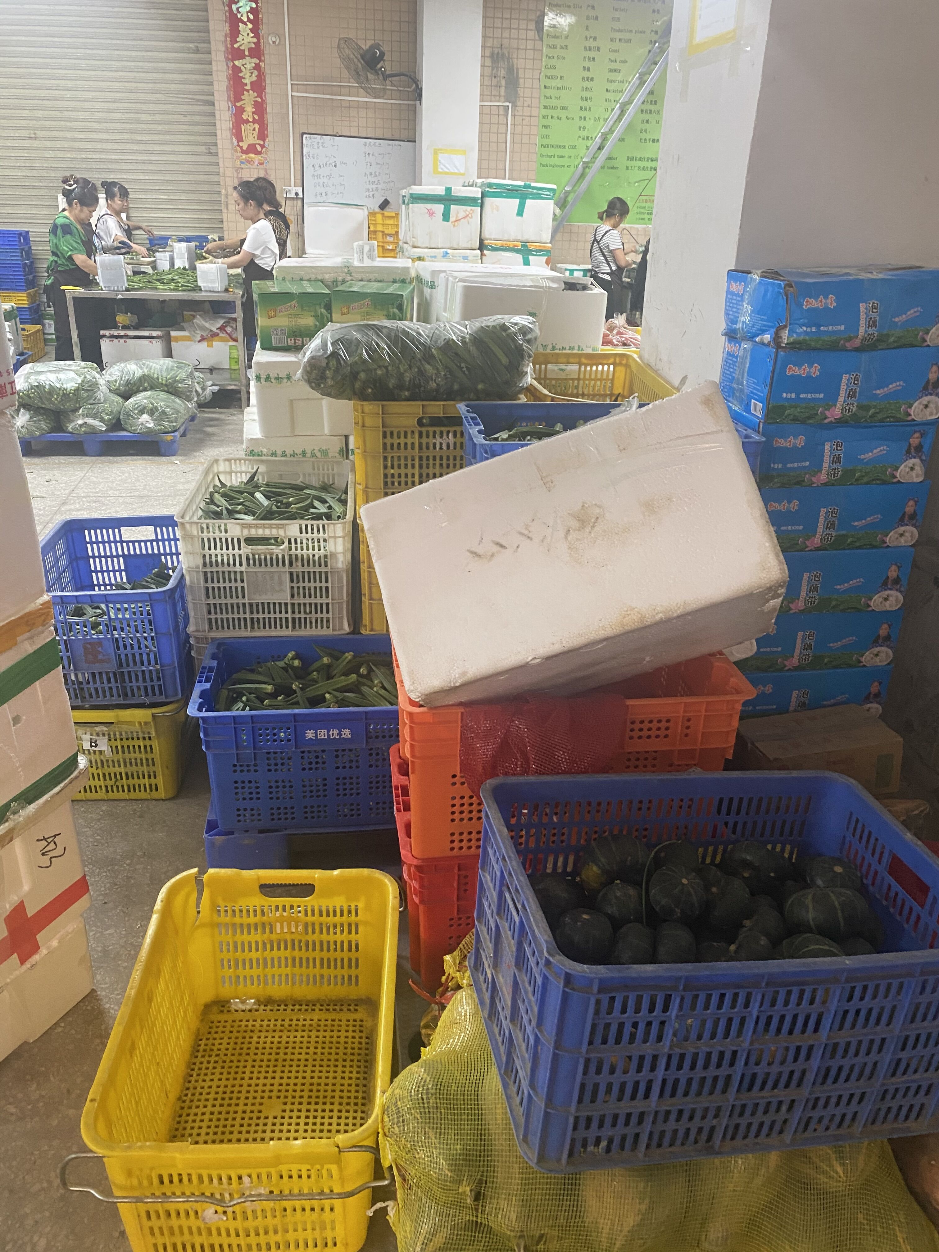 重庆蔬菜批发进货渠道,做蔬菜批发进货渠道