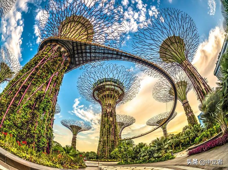 新加坡生活真实状况,新加坡生活到底有多安逸