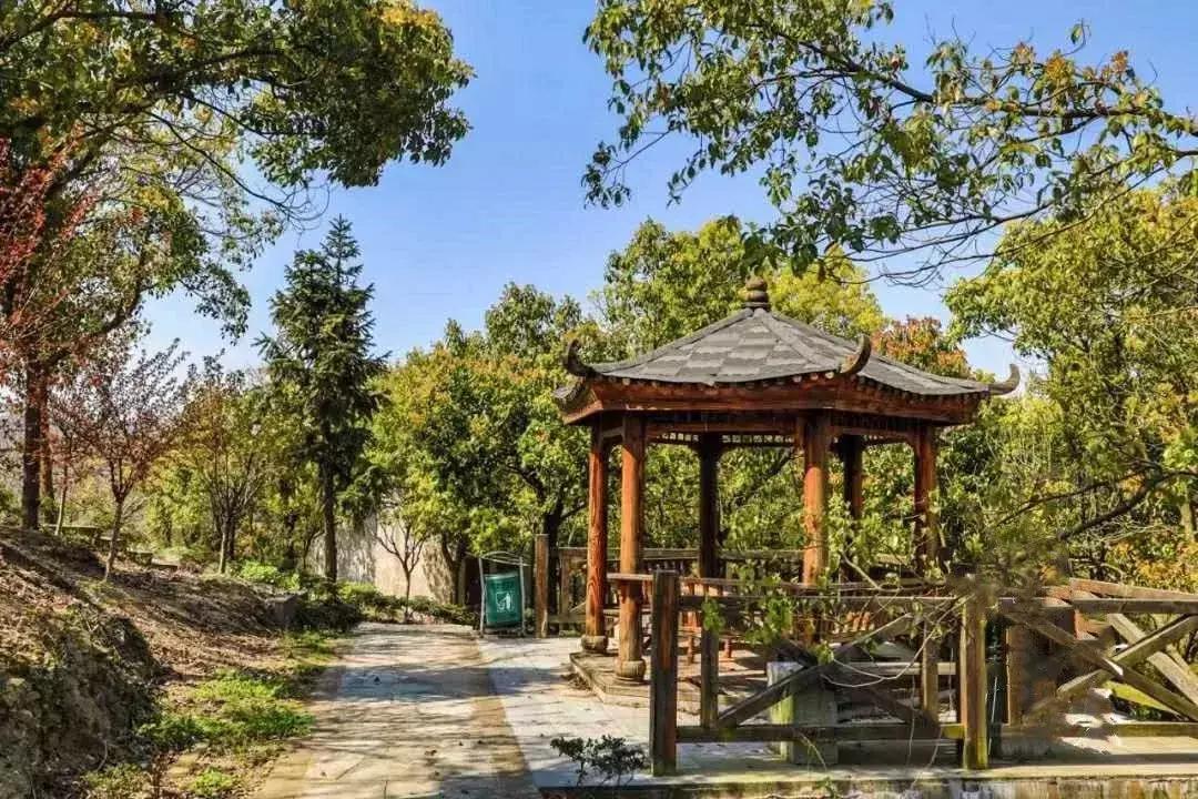 市区出发1h藏着一个“绿岛”？赛车、帆船…梅山原来如此洋气！