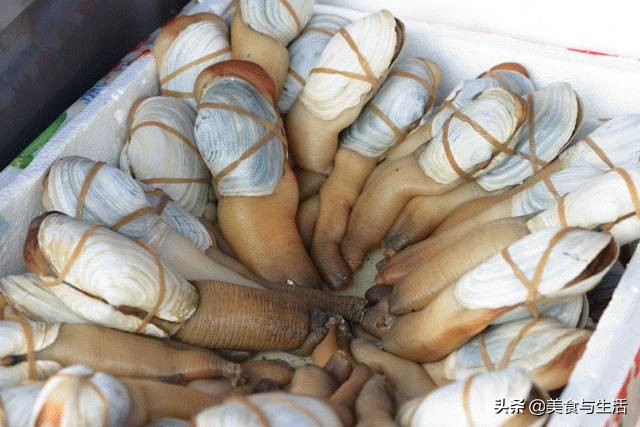 国内有名的海鲜市场,并不是北京新发地,而是广东黄沙水产市场