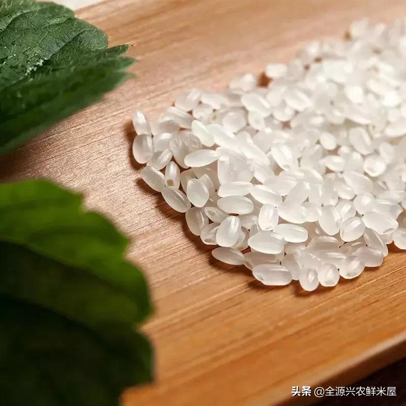 “君食一餐饭，三日齿留香”，东北大米为什么好吃呢？