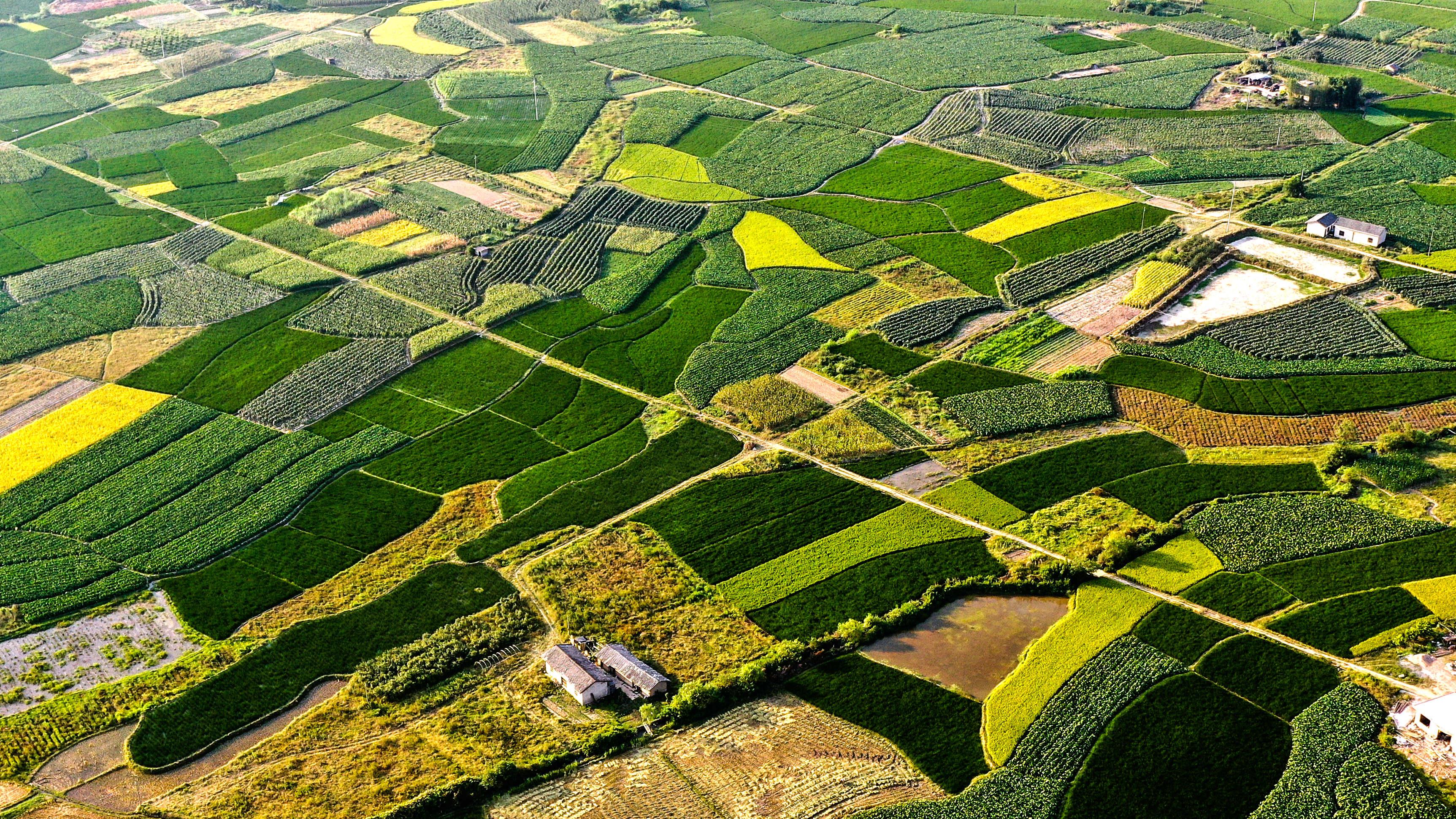 太阳消失了人类能活多久,太阳消失了1000年后地球会怎么样
