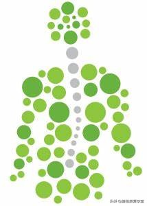 什么运动可以矫正脊柱侧弯,脊柱侧弯做什么运动最好