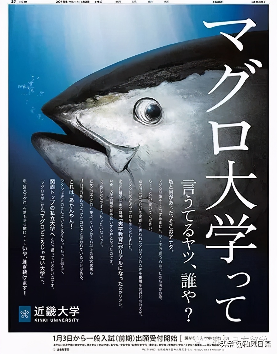 曾被嘲笑“变态”,但人气高居第一的近畿大学