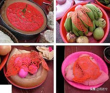 剪出的心灵手巧——剪纸艺术