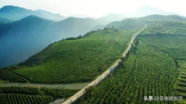 鑻嶅崡姘戝鎺ㄨ崘,鑻嶅崡姘戝浠嬬粛