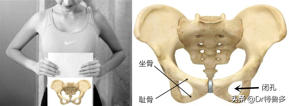 大腿内侧疼是压迫哪根神经引起的,大腿内侧神经疼要警惕