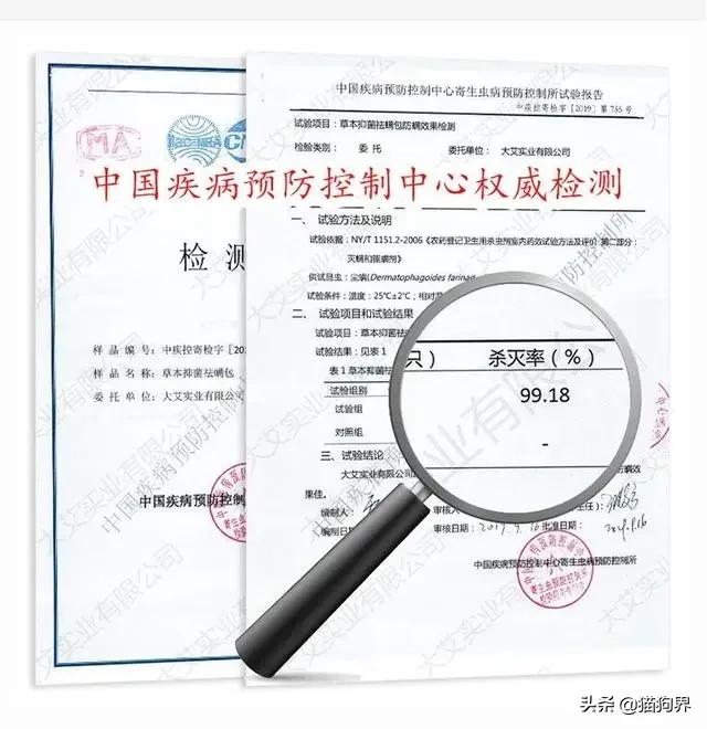 螨虫的小红疙瘩如何消退,家里有螨虫过敏者