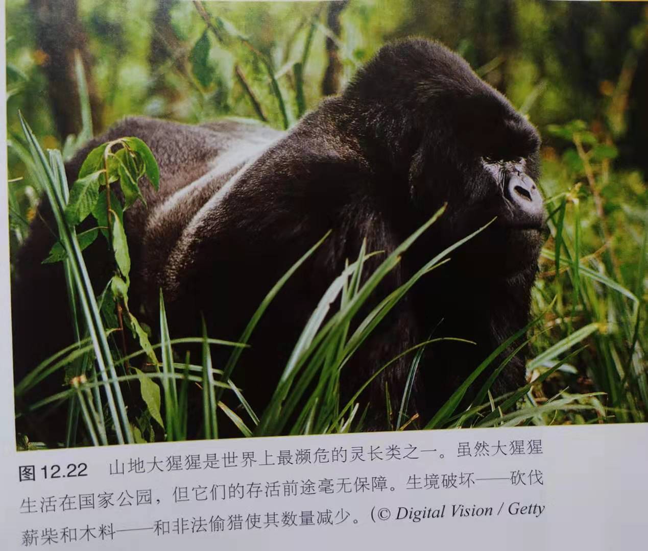 地理学与生活豆瓣,地理学与生活免费阅读