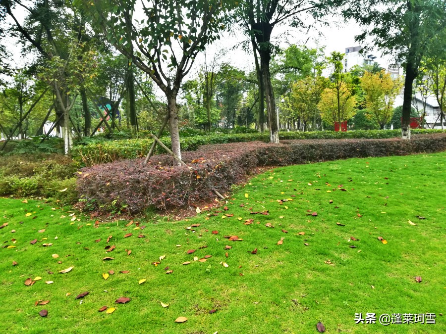 自贡汇东足球,自贡5人制足球联赛