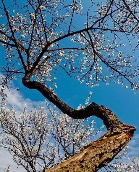 江苏旅游西山岛攻略图文,内湖洞庭西山岛