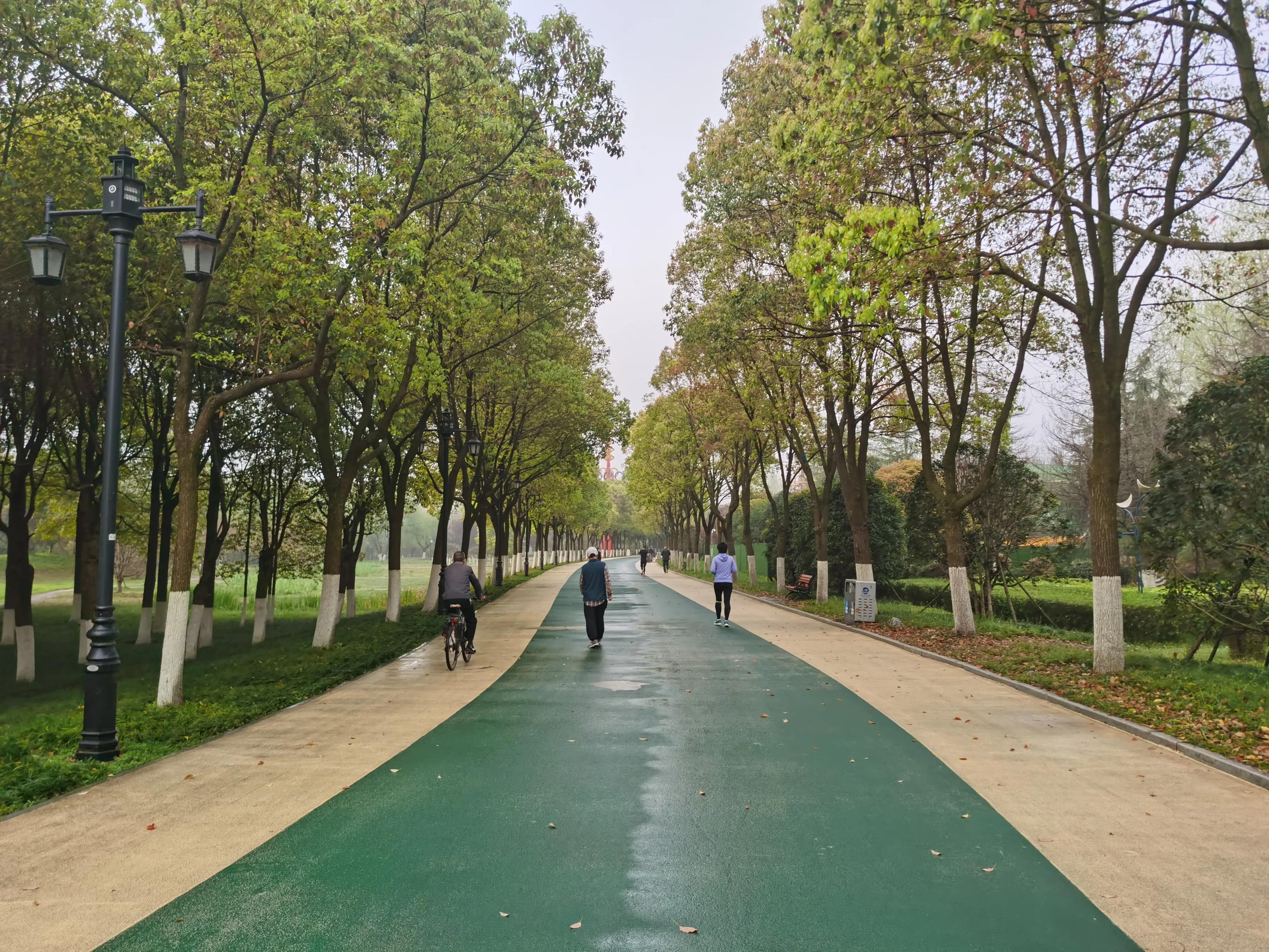 深圳湾对比华侨城,深圳湾对比北外滩