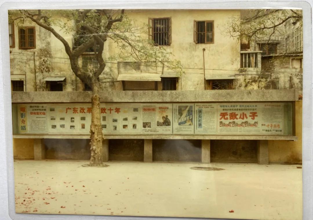 TA是肇庆首家中央空调立体声电影院！照片里的记忆，戳心了