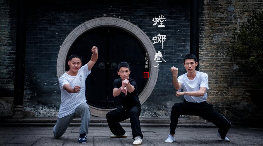 螳螂拳实战拳法,螳螂拳真实的拳法