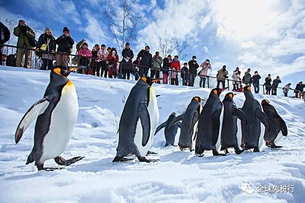 日本北海道旅游攻略英文,日本北海道旅游攻略学生