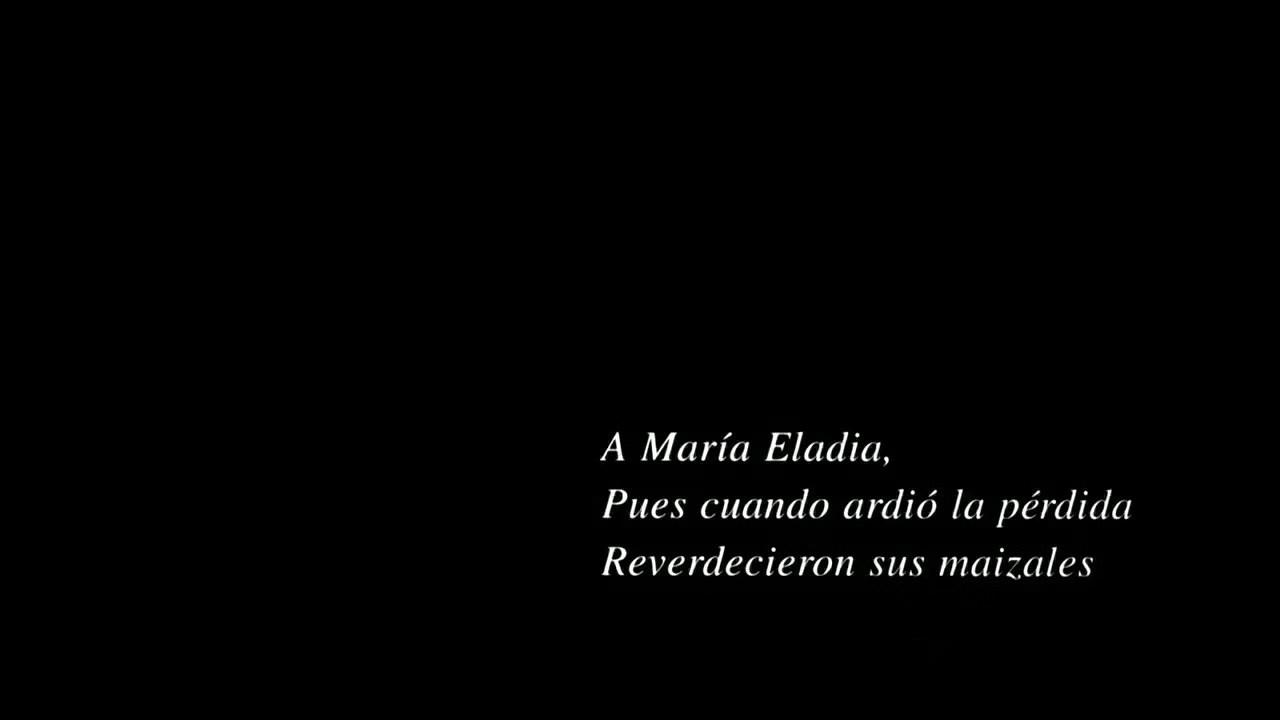 从《21克》看人生无常：人类的痛苦、愧疚、快乐往往并不相通