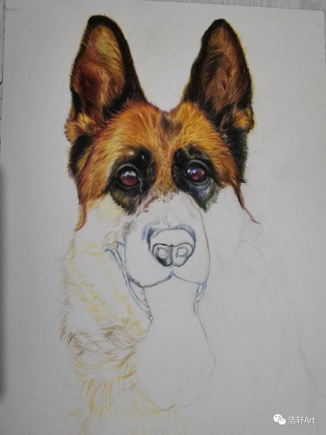 心中有画的下一句,心中有画完整视频