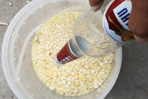 野钓玉米饵料配方大全,饵料野钓专用夏季玉米