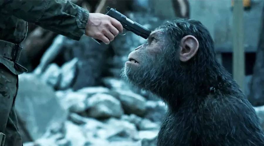 猩球崛起凯撒的一生,凯撒猩球崛起十年前