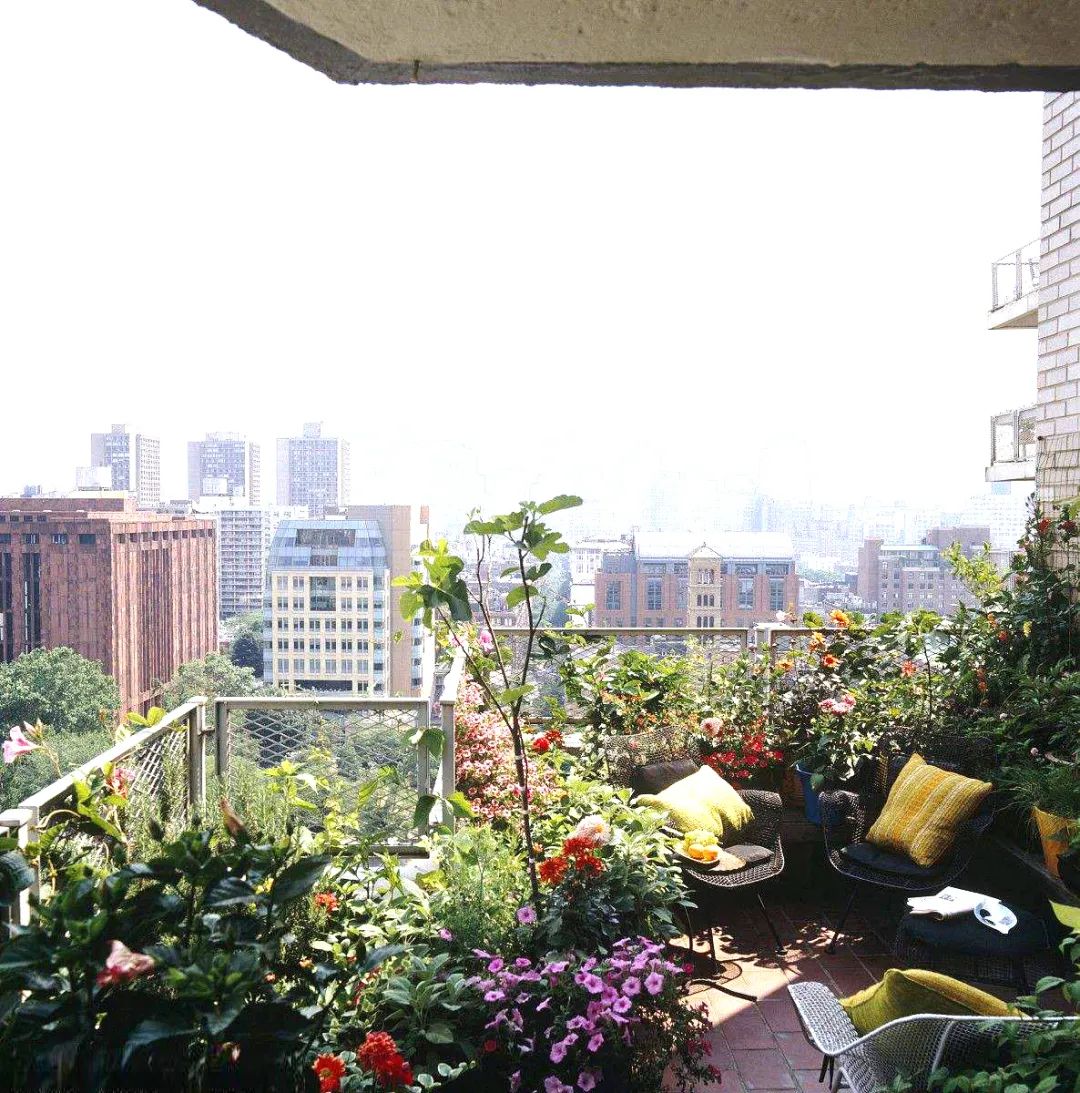 修剪的目的是什么,修剪是为了更好的生长