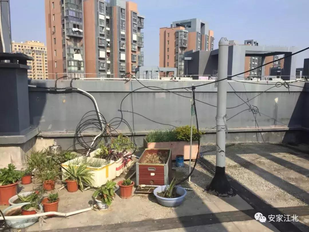 南京江北4号线新楼盘,南京地铁盘怎么样