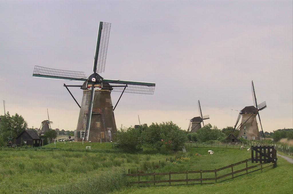 罕见的25面额纸币,17世纪的科学家出现在风车王国的钞票上