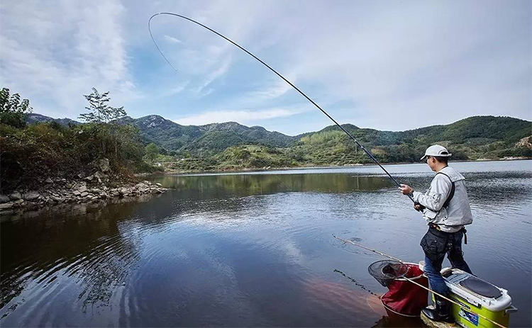 台钓鲫鱼竿钓大物什么台钓竿好,台钓怎么选竿子好用