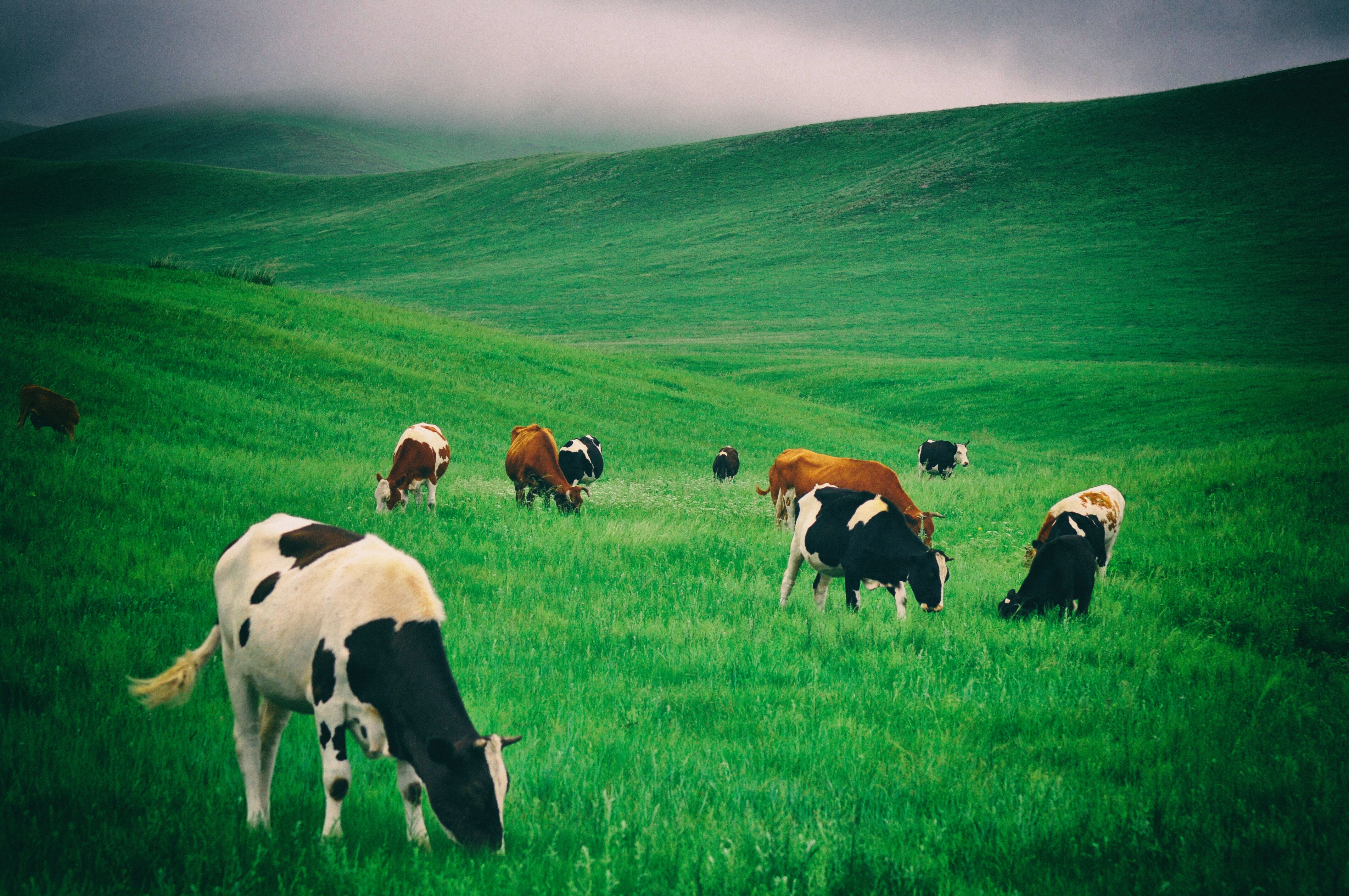 东北边疆,东北行游记2019