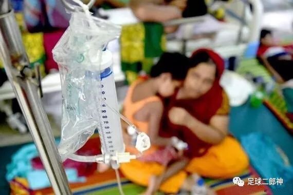 褰掑寲姊呰タ,涓浗褰掑寲姊呰タ