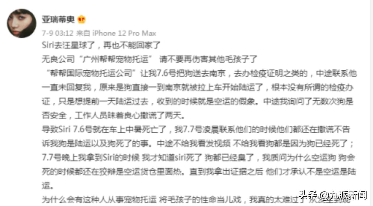 金毛空运改陆运结局,金毛空运转陆运