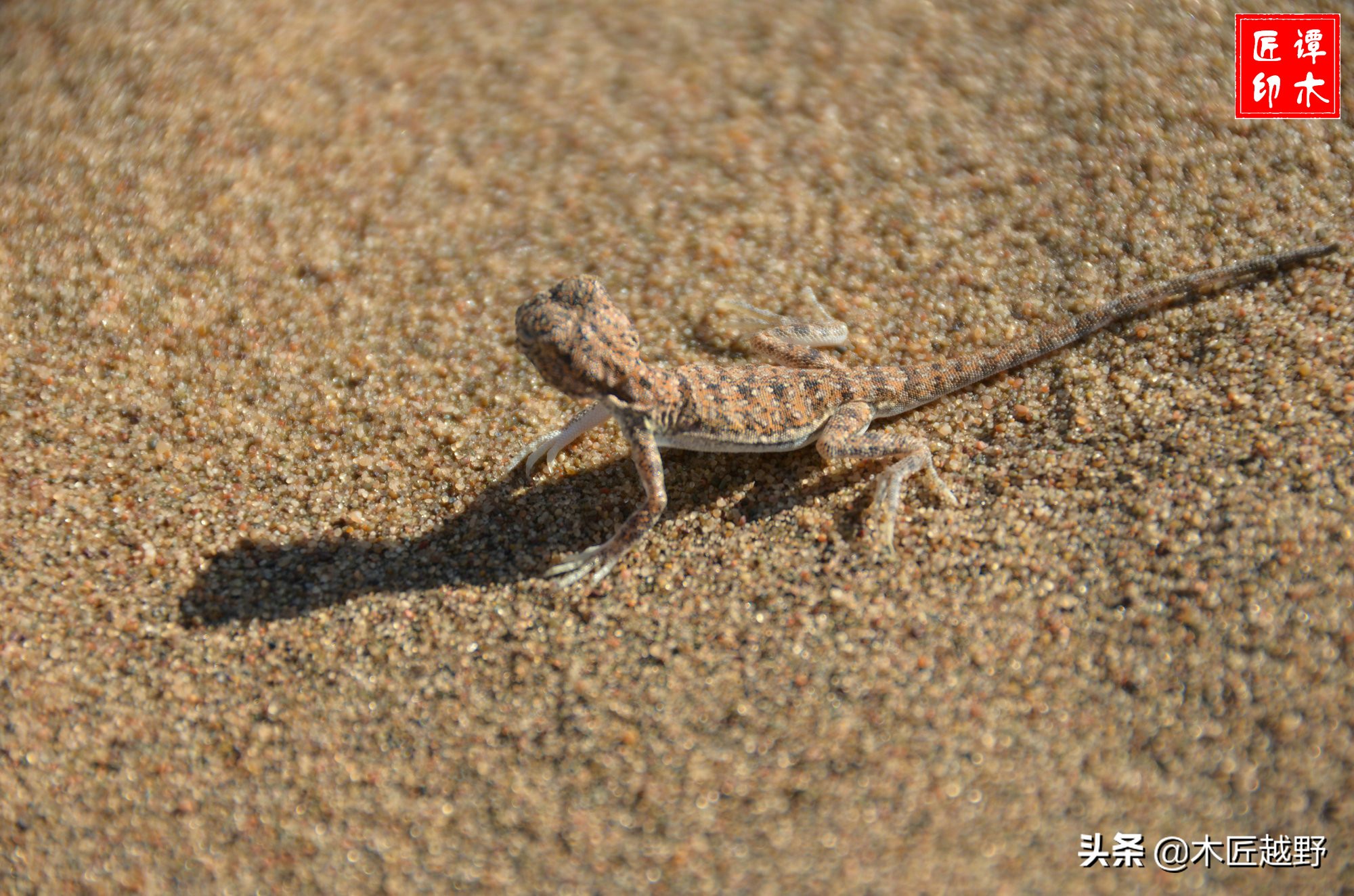 当木工学徒,当木匠的故事