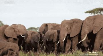 9.4分韩国催泪电视剧,韩国十部9.5评分催泪电影