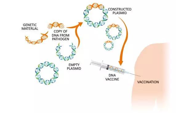 大家对新冠疫苗的看法采访,新冠疫苗第2剂接种