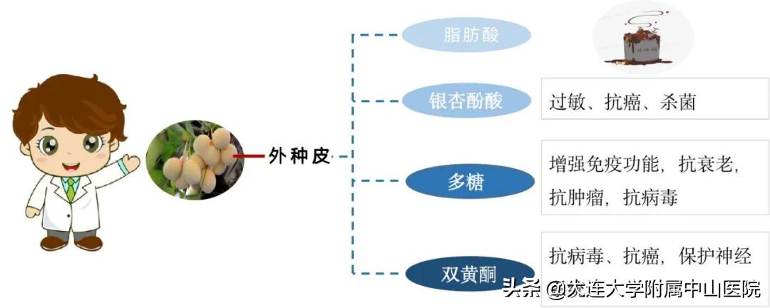 中医养生从养生开始,中医养生从头到脚讲座全集