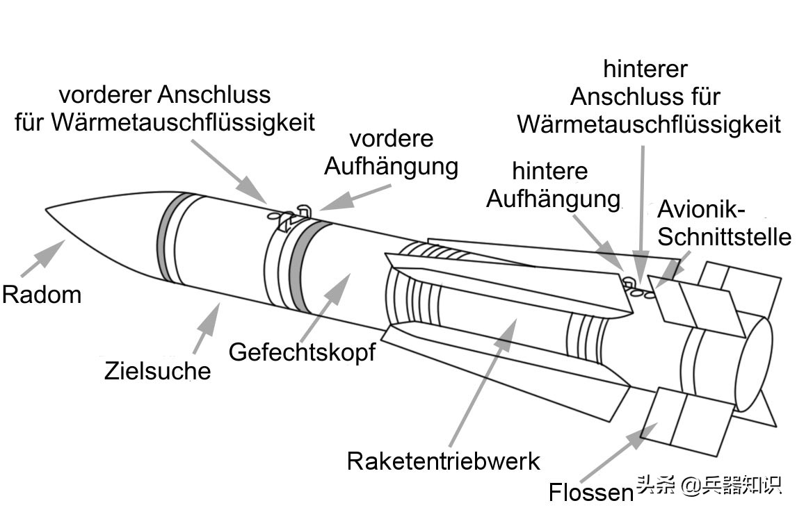 鸟中之王排行榜,鸟中之王