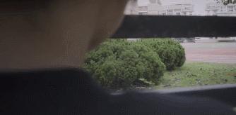 300万杯子引发霸凌,霸凌案后续